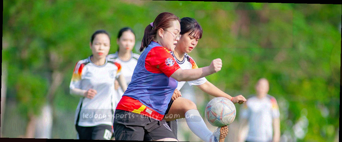 抽象天平与数据网络，象征条款的公允与数据平衡